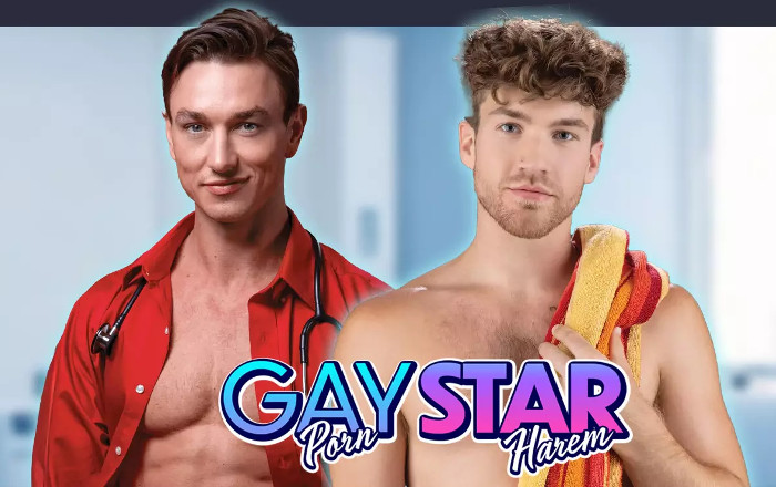 Cover von Gay Pornstar Harem